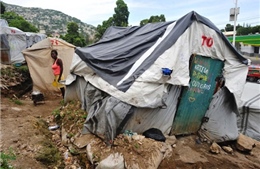 Câu chuyện trong khu lều bạt ở Haiti